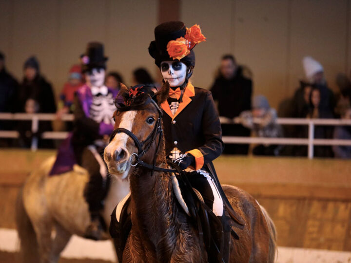 Salon Cheval Passion Avignon 2022