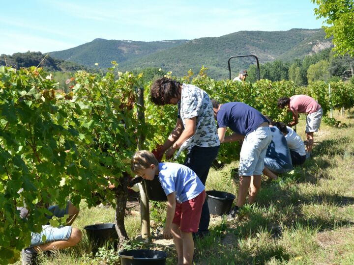 Salon des Vignerons Indépendants de Bordeaux 2021