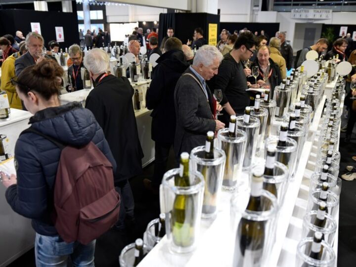 Salon des Vins de Loire 2024 ABC Salles