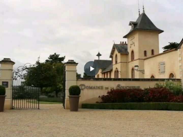 Salon des Vins de Loire 2025 ABC Salles