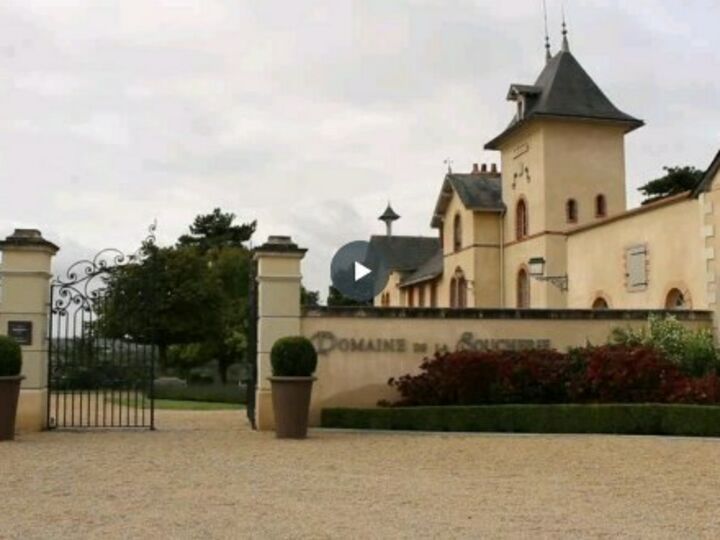 Salon des Vins de Loire 2022