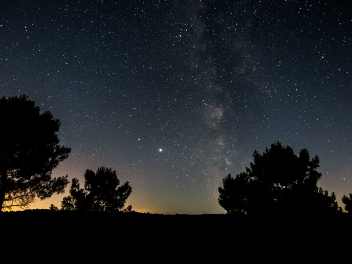 Foire Internationale de Toulouse 2021