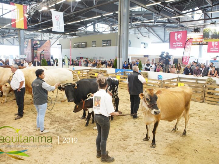 Salon Aquitanima 2021