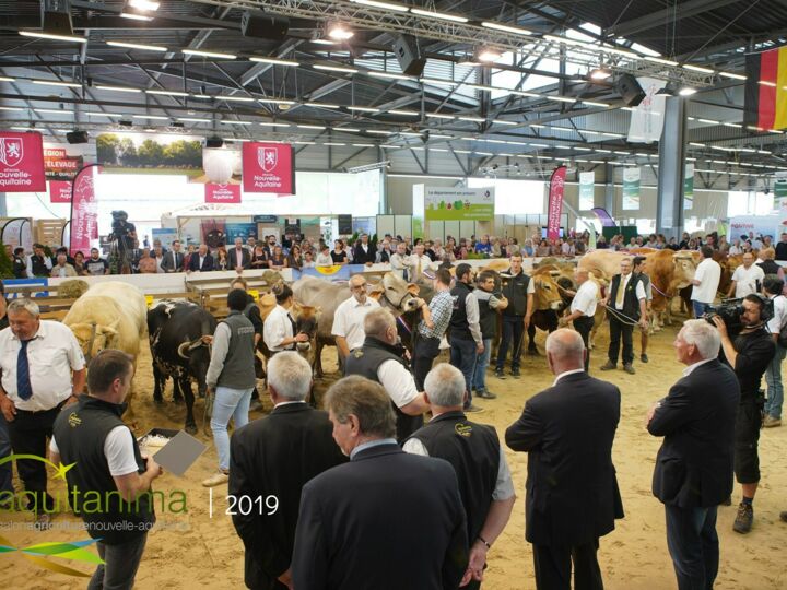 Salon Aquitanima 2021