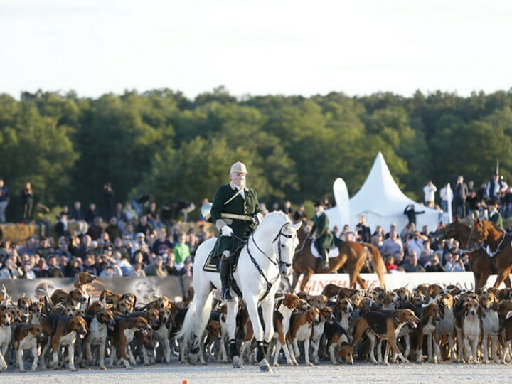 Salon Game Fair 2024 ABC Salles