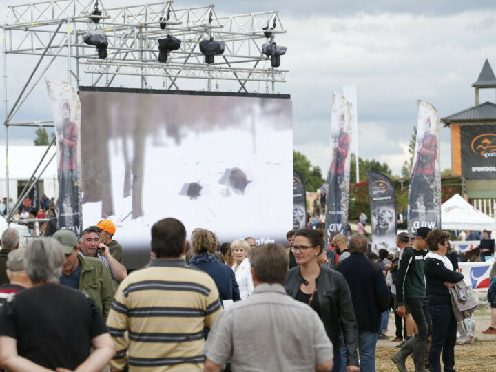 Salon Game Fair 2022