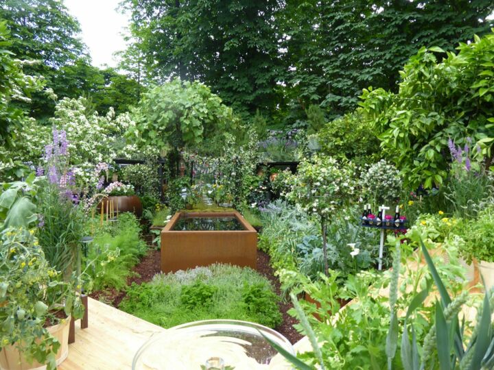 Jardins, jardin des Tuileries