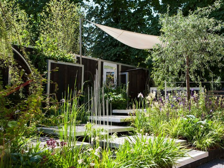 Jardins, jardin des Tuileries