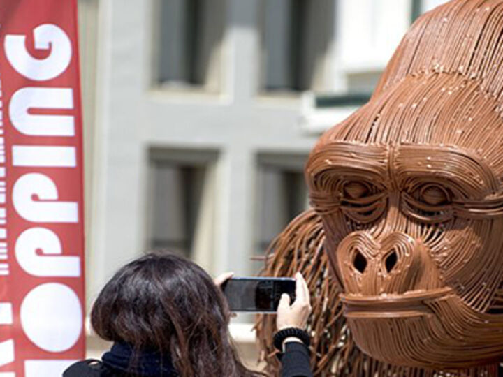 Art Shopping Deauville