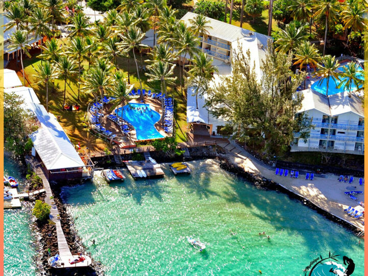 Festival international de la capoeira