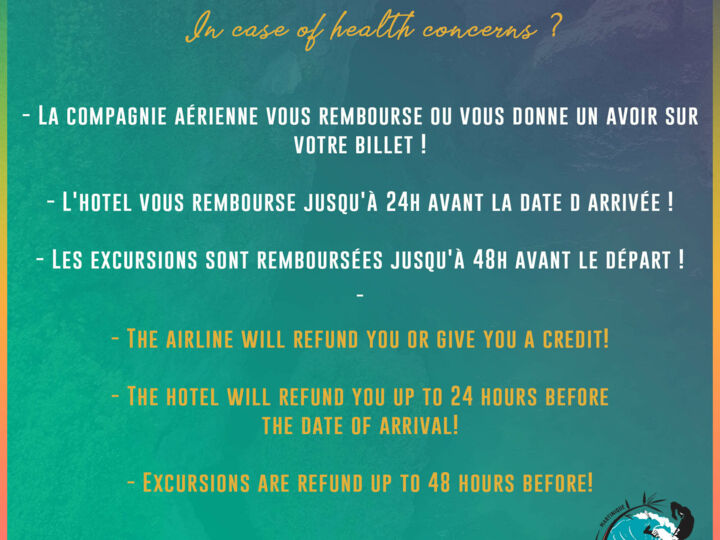 Festival international de la capoeira