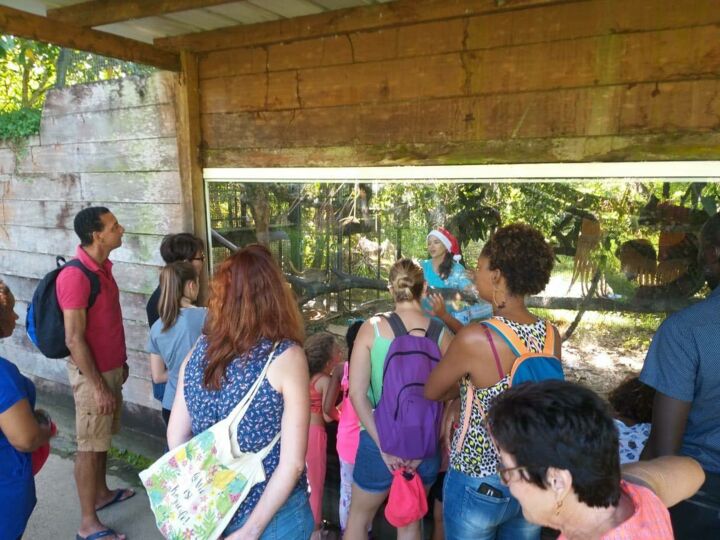 Foire aux plantes et arbres fruitiers