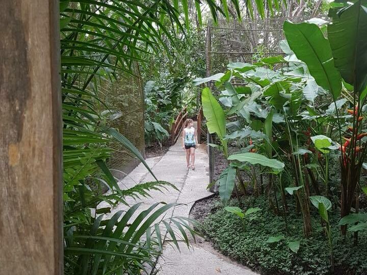 Foire aux plantes et arbres fruitiers