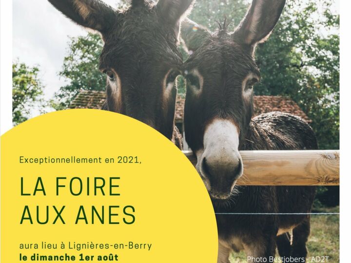 Foire aux ânes et aux mules