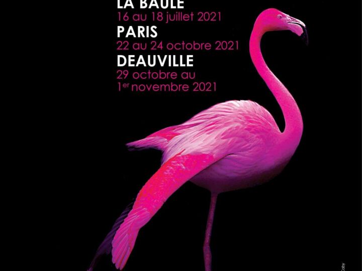 Art Shopping La Baule