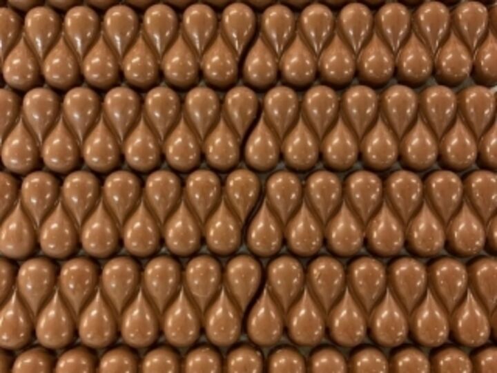 Salon du chocolat de Lyon