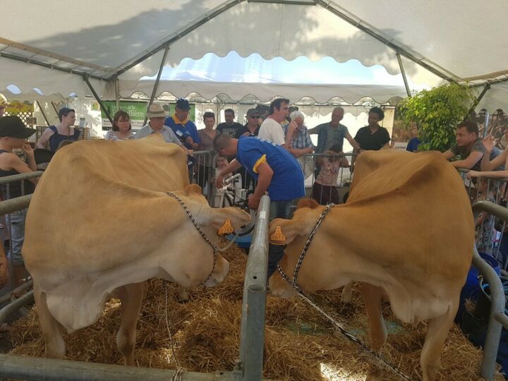 Foire-Expo de Cholet 2022