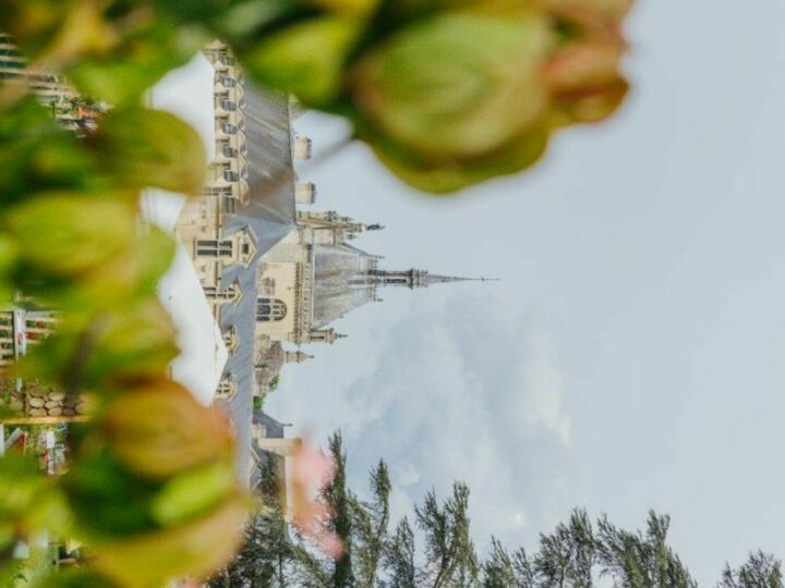 Journées des Plantes de Chantilly 2025