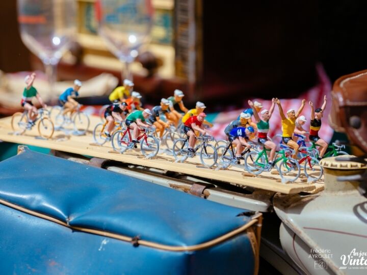 Anjou Vélo Vintage 2021