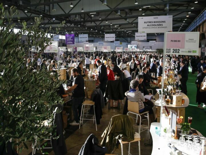 Salon Millésime BIO 2022