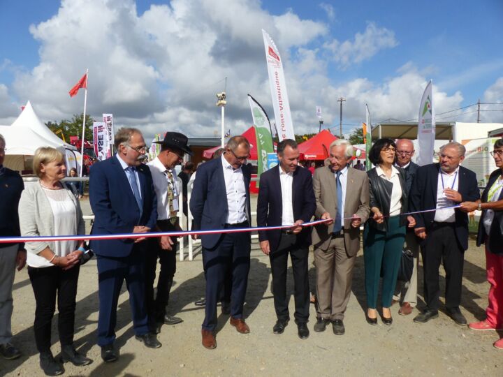 FOIRE DE BÉRÉ - CHÂTEAUBRIANT 2024