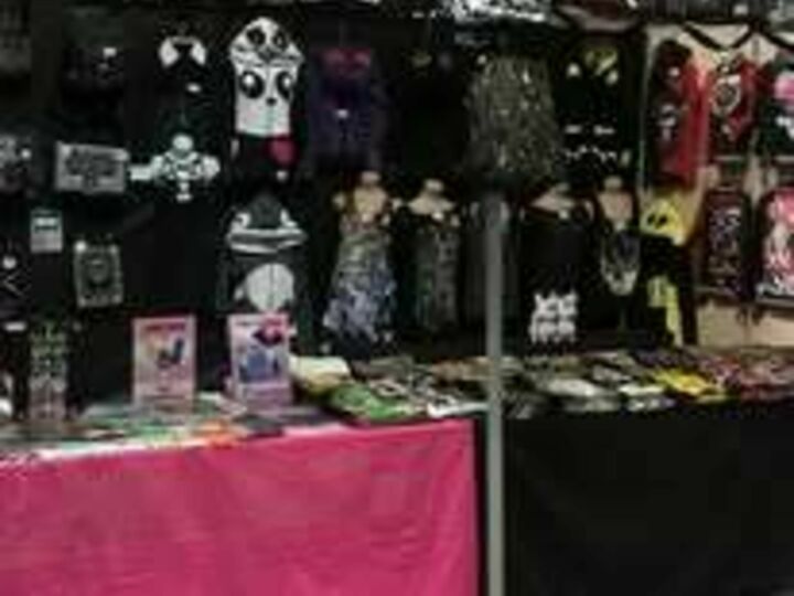 Paris Manga et Sci-Fi Show by TGS 2025