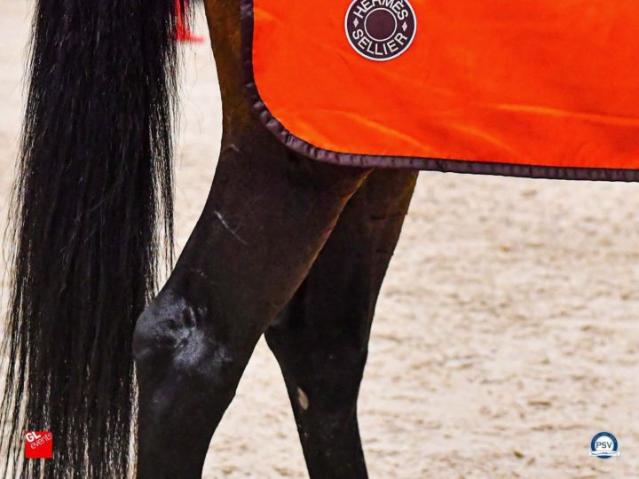 Longines Equita Lyon 2026