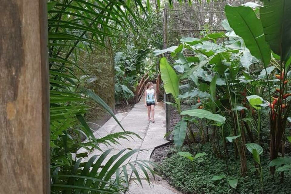 Foire aux plantes et arbres fruitiers