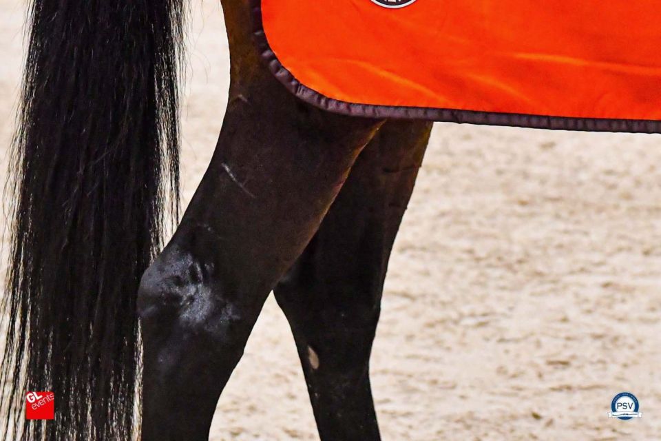 Longines Equita Lyon 2026