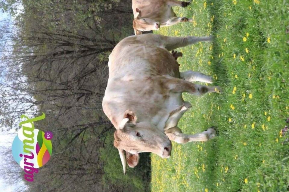 Agrimax 2026