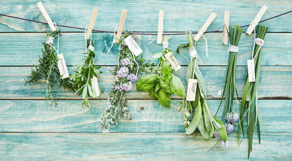 Adobe Stock - Romarin, thym, basilic, sauge et quelques autres plantes pour apporter fraîcheur et nature... et cela, pas qu'à vos plats.