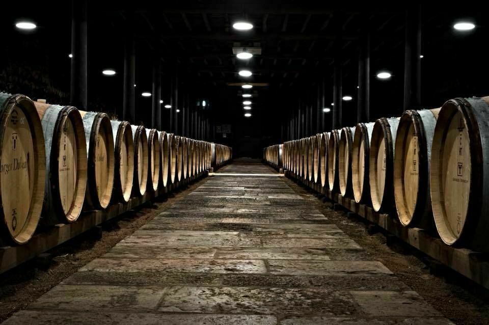 ABC Salles -  Au sein du Hameau duboeuf, cette cave permet au vin de vieillir correctement. Un espace qui allie technologie de pointe et respect des traditions.