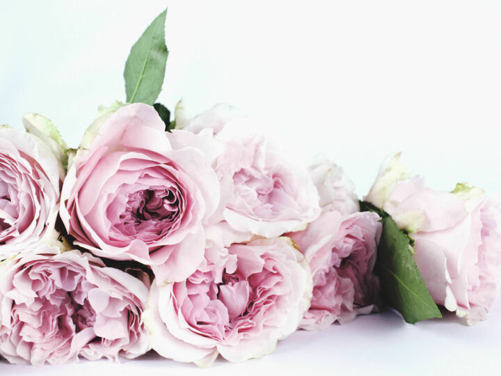 Comment conserver son bouquet de mariée après son mariage ?