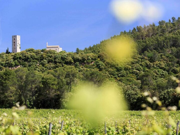 5 magnifiques salles de réception et de séminaire au cœur des vignes à découvrir