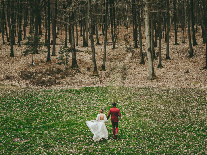 7 établissements au cœur de la forêt à privatiser pour profiter du caractère et de la beauté de l'automne