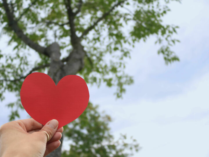 5 gestes et astuces à mettre en place pour rendre son événement plus respectueux de l'environnement