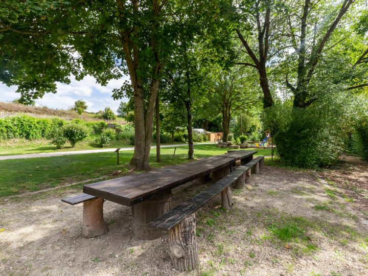 7 établissements proches de la nature à privatiser pour réunir son équipe de scouts