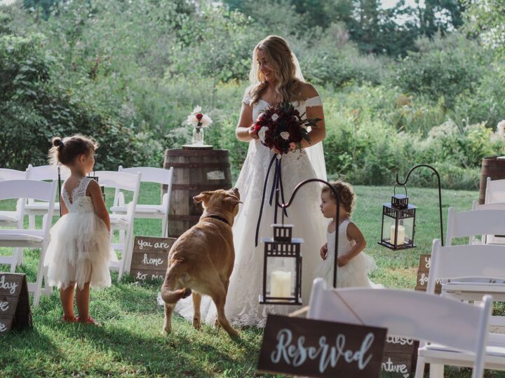 Espace enfants au mariage : luxe ou nécessité pour une célébration réussie ?