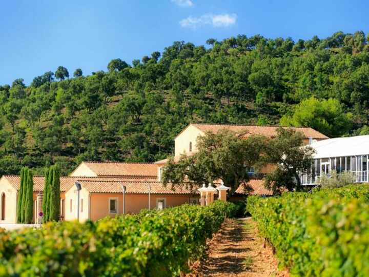 Comment organiser une soirée d'entreprise autour des vendanges ?