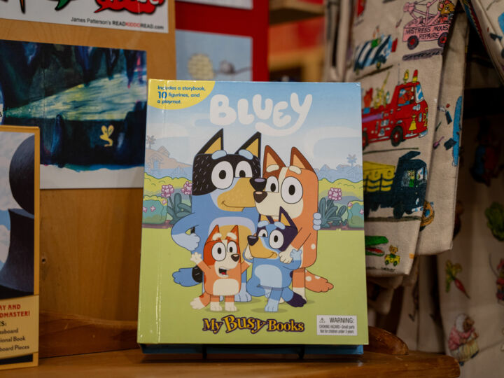 Les 6 indispensables déco pour une fête d'enfant sur le thème de la célèbre Bluey
