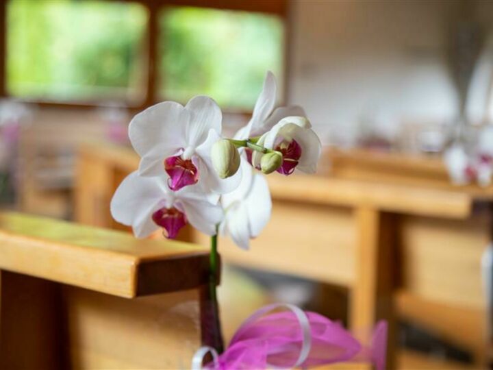 Douceur asiatique : lotus, cerisiers et orchidées pour une esthétique de mariage épurée