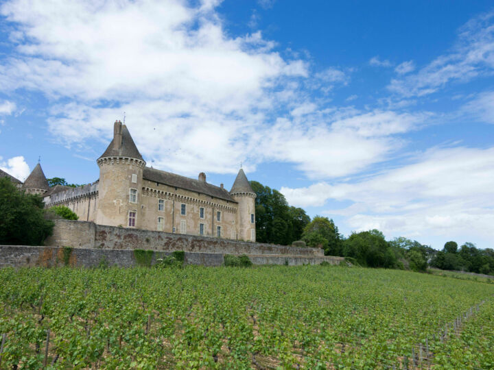 Des collines du Beaujolais aux coteaux du Mâconnais : 3 établissements au coeur de domaines viticoles pour vos plus beaux événements