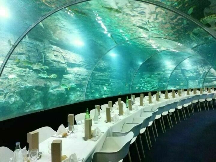 Arbre de Noël d’entreprise : 9 lieux 100% accessibles pour accueillir collaborateurs et familles (PMR compris)