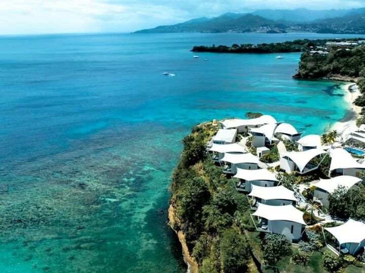 Les collections : des sélections thématiques pour chaque occasion