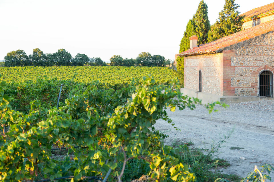 ABC Salles - Château Saint Nicolas