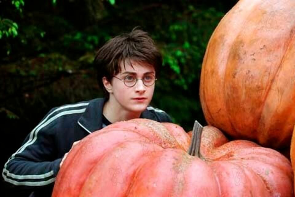 Idées de Costumes Harry Potter Magiques! - Deguisement Halloween