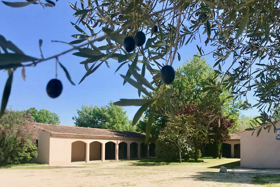 ABCSalles - Photo prise de l'extérieur des écuries du domaine de Pluvinel, à côté d'une des salles de réception