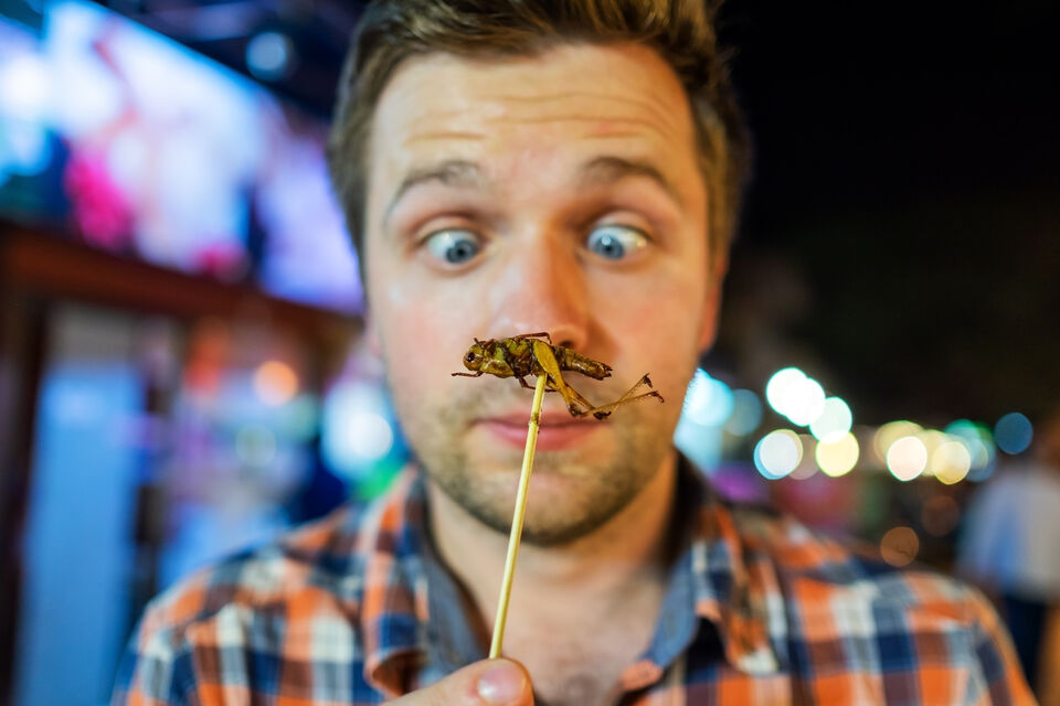 Adobe Stock - Photo d'illustration - Encore peu répandue en France, l'entomophagie gagne du terrain. Tour d'horizon des insectes les plus appréciés par les consommateurs et gourmets, à oser proposer à vos invités.<br>