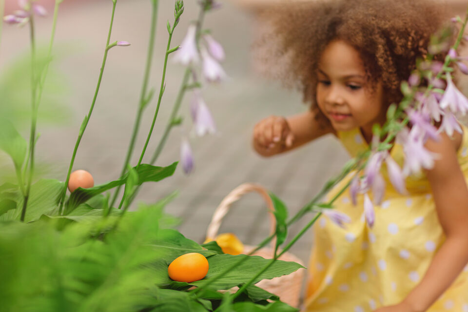 Adobe Stock - Photo d'illustration - Comme chaque année, la fête de Pâques est l'occasion, pour les adultes comme les enfants, de se réunir pour participer à la plus grande chasse aux œufs en chocolat de l'année.