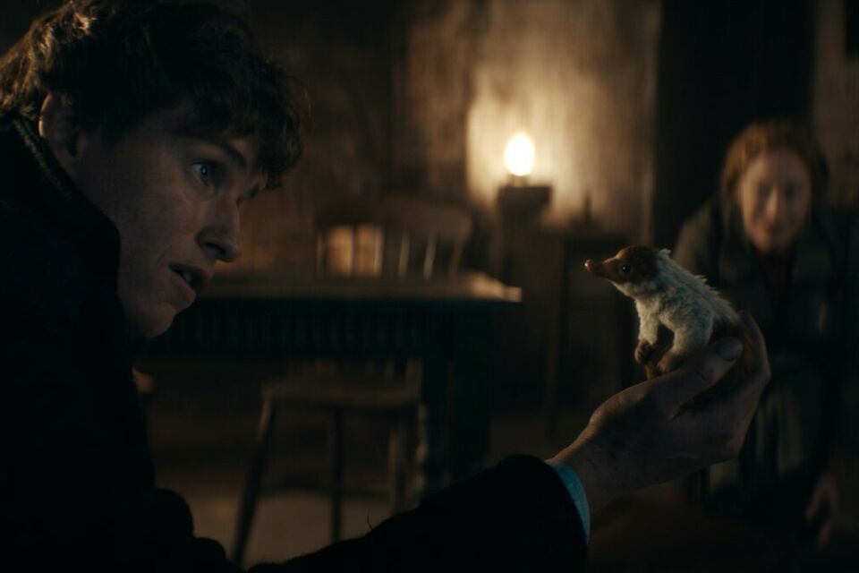 AlloCiné - Photo tirée du film Les Animaux Fantastiques : Les secrets de Dumbledore - Profitez de la sortie récente du dernier volet de la saga inspiré de l'univers d'Harry Potter pour en faire le thème de votre prochain événement. 